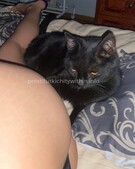 Анкета проститутки Элеонора - метро Нагатино-Садовники, возраст - 22